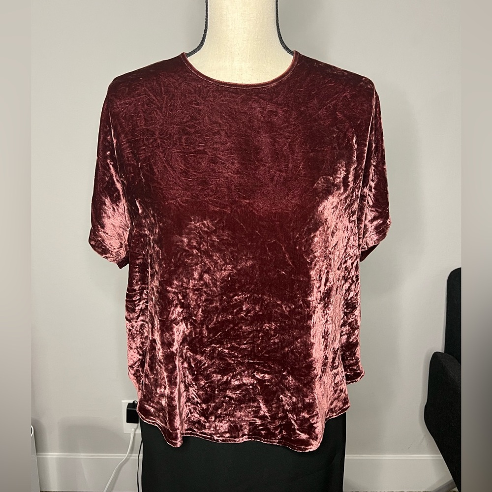 Madewell Crushed Velvet Tee